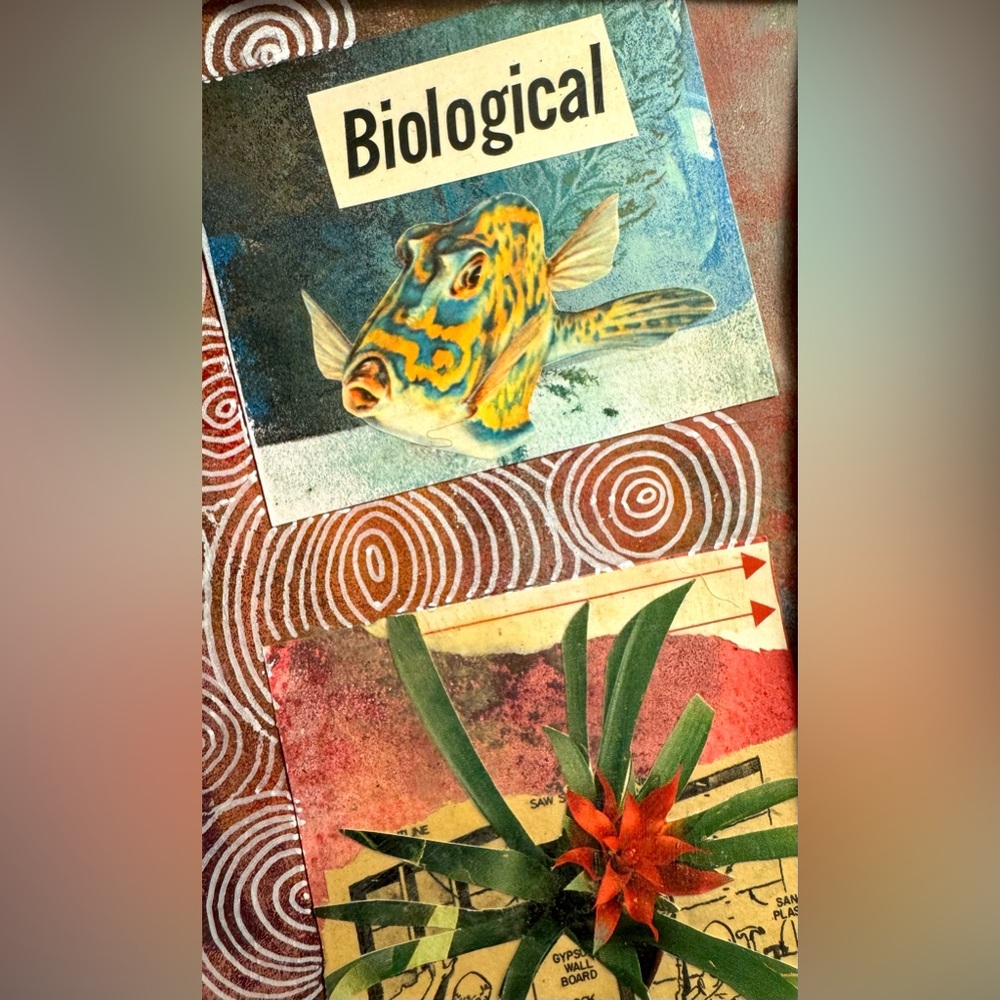 Biology Collage Art